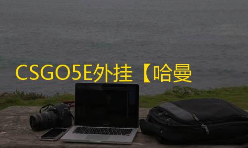 CSGO5E外挂【哈曼/透饰/梓喵/支持5E】辅助