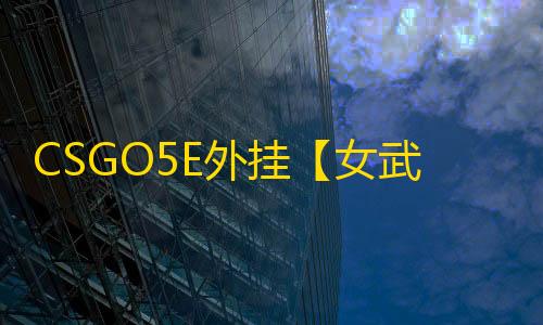 CSGO5E外挂【女武神/透饰/梓喵/雷达仅支持完美】辅助